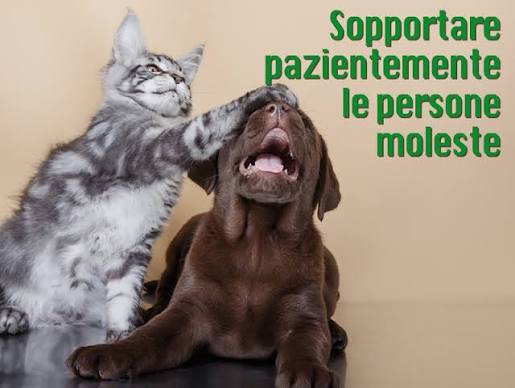sopportare